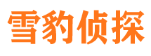 陇西找人公司